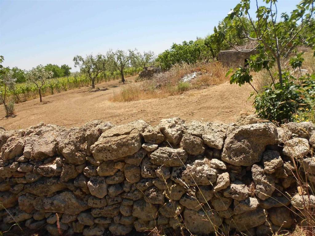 Terreno a Crispiano - Foto 3