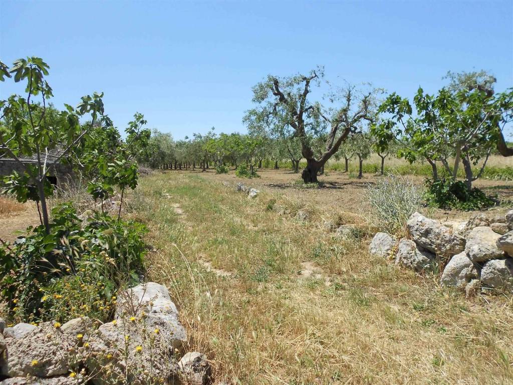 Terreno a Crispiano - Foto 4
