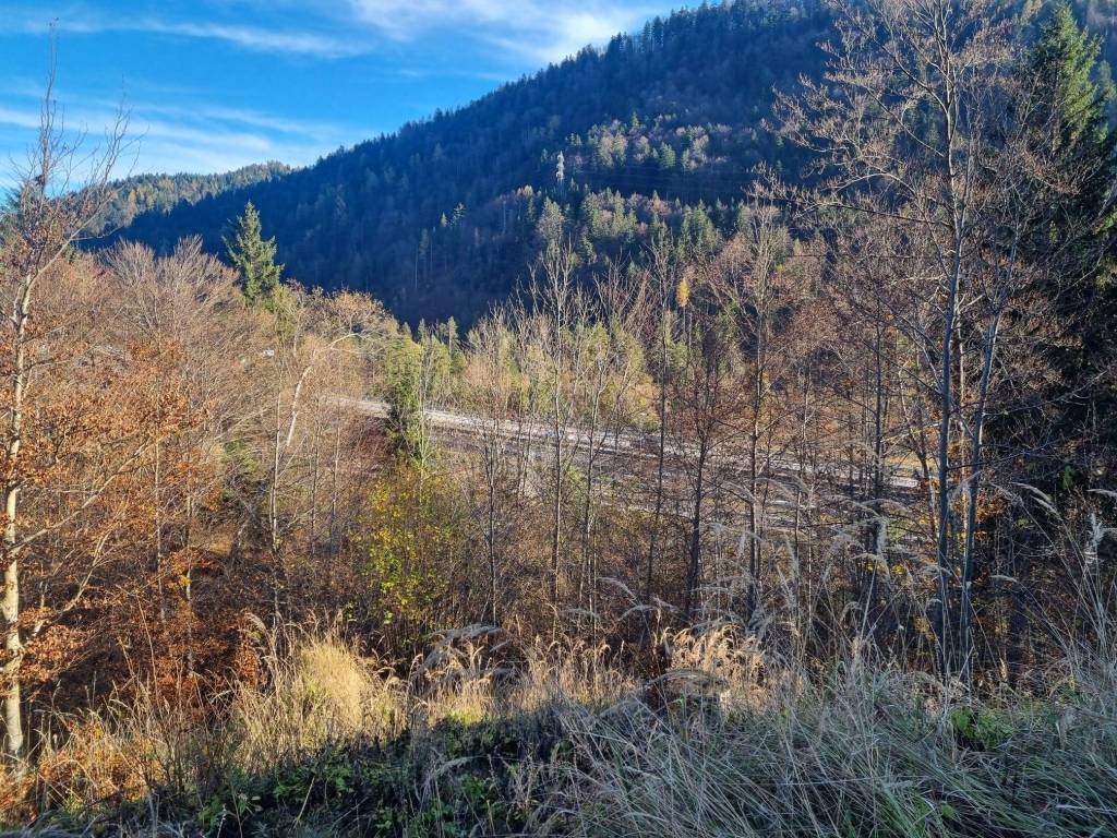 Terreno a Tarvisio in Via Valcanale, 5 - Foto 2