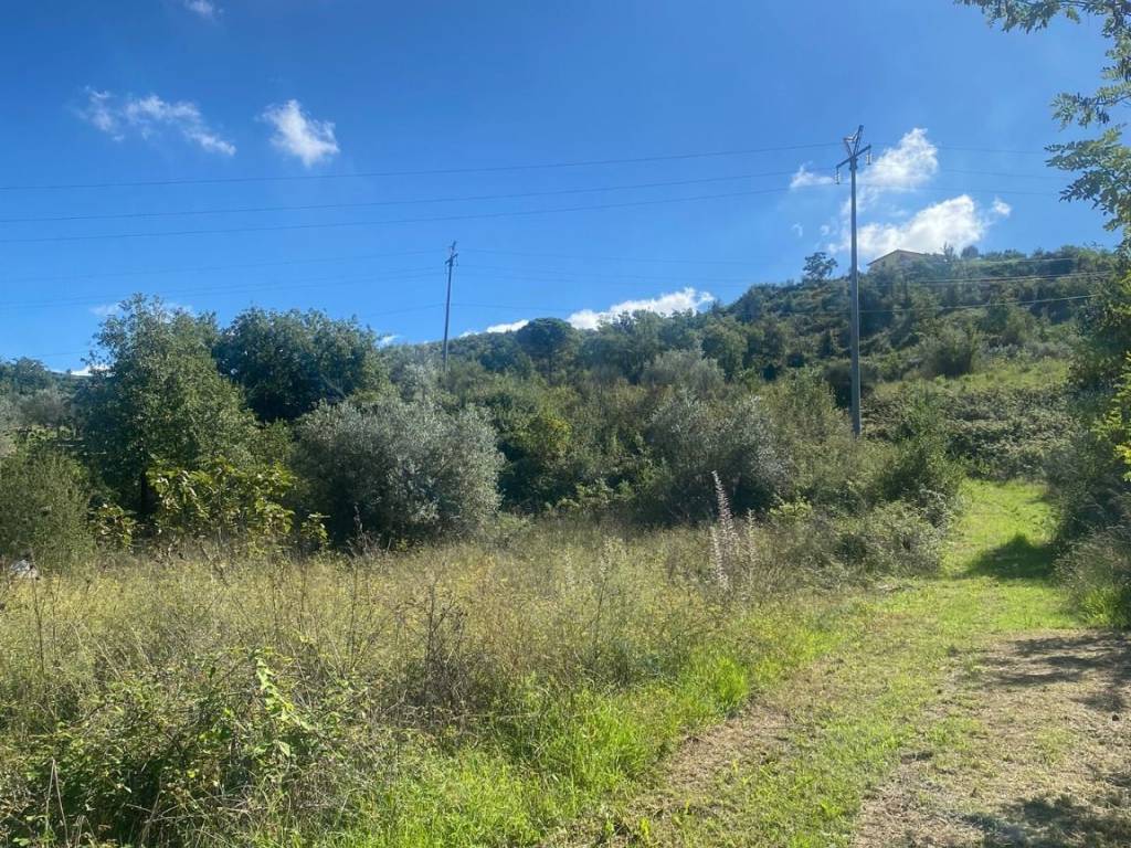 Terreno a Torchiara in Via Torre Mangoni Case Bianche - Foto 2