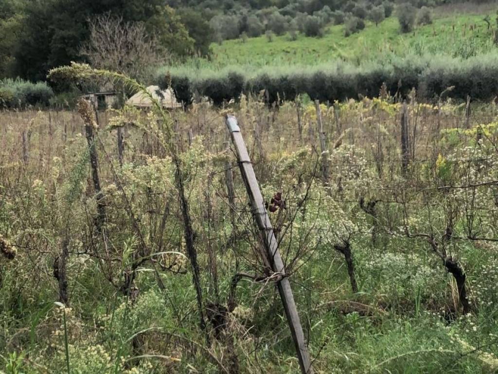 Terreno a Torchiara in Via Torre Mangoni Case Bianche - Foto 3