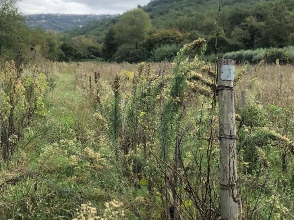 Terreno a Torchiara in Via Torre Mangoni Case Bianche - Foto 4