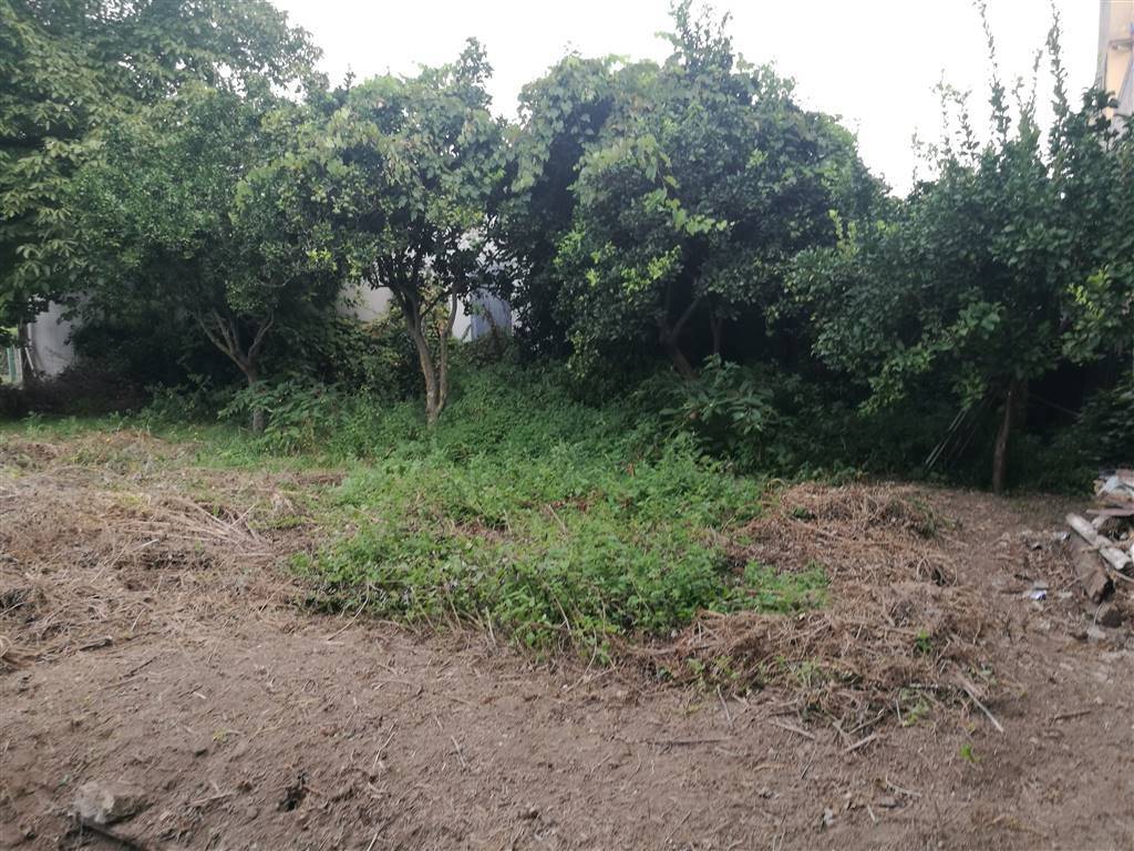 Terreno a Capodrise - Foto 5