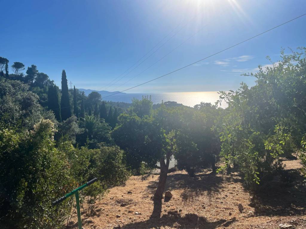 Rustico / casale a Monte argentario in Via della Cala - Foto 5