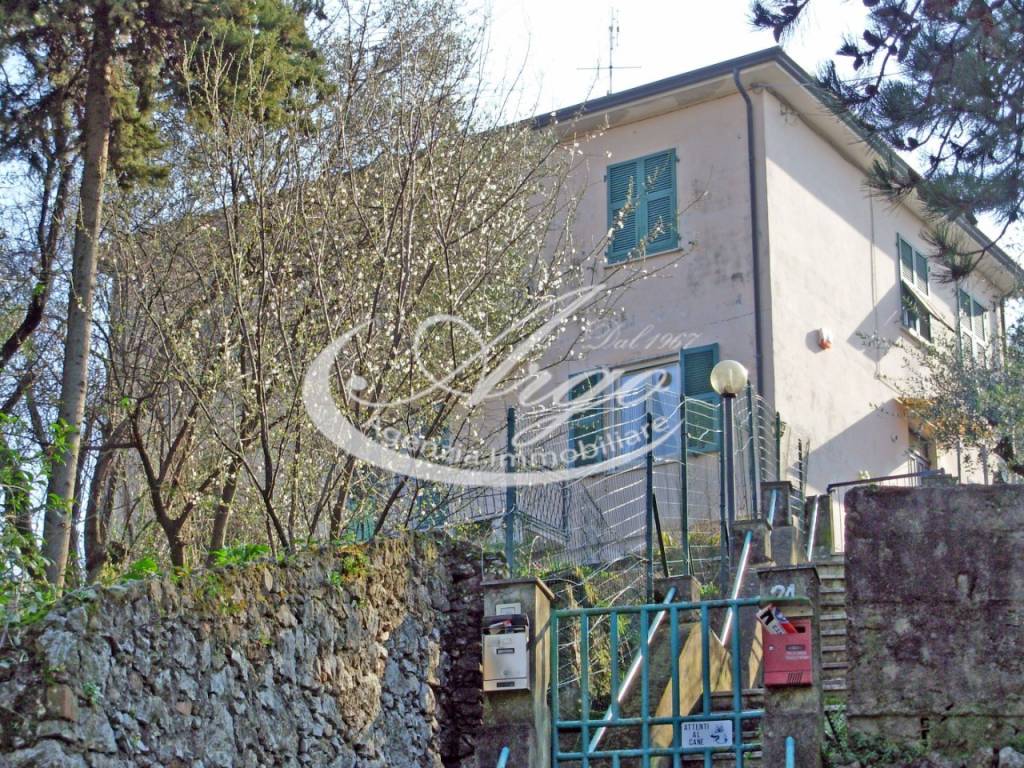Villa a Lerici - Foto 4