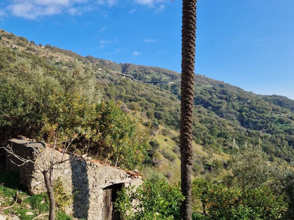 Rustico / casale a Gallodoro in Corso Don Antonino Lo Turco - Foto 2