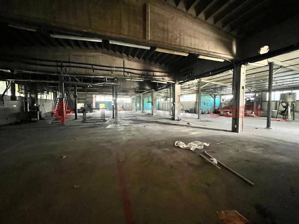 Immobile a Sant'elia fiumerapido in Via Falasca - Foto 4