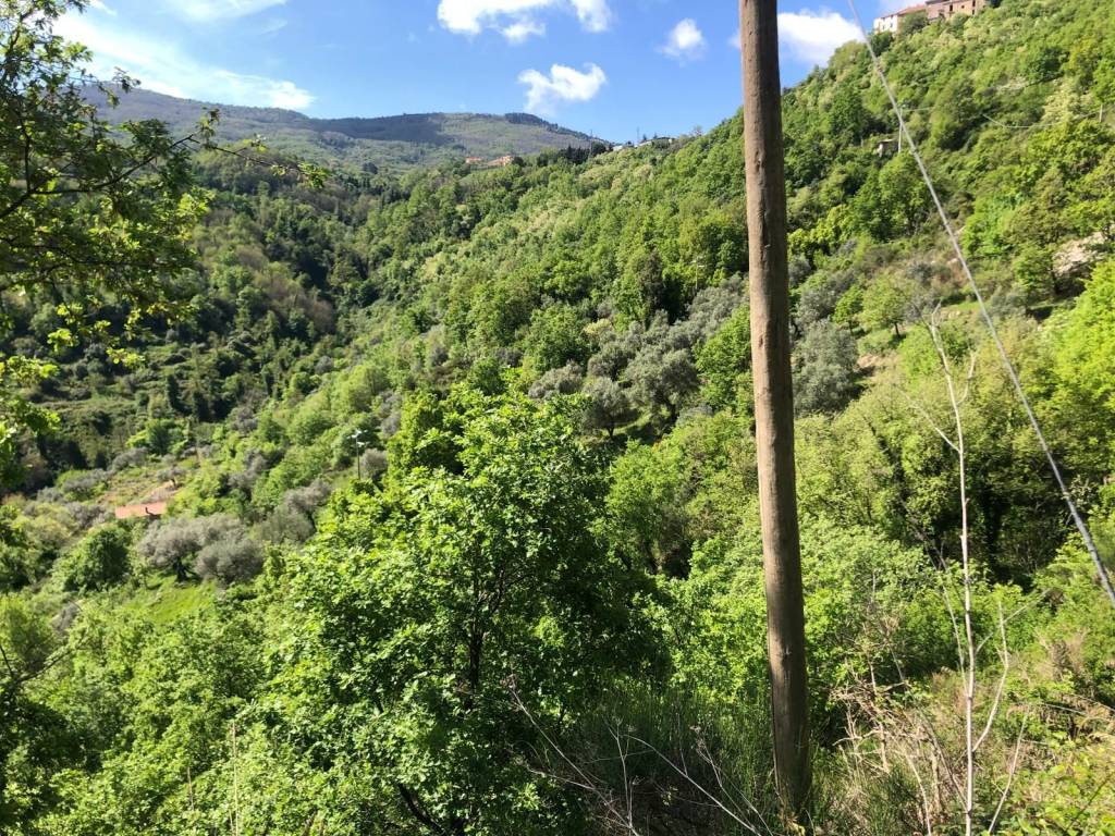 Terreno a Sessa cilento in Via Vittoria - Foto 3