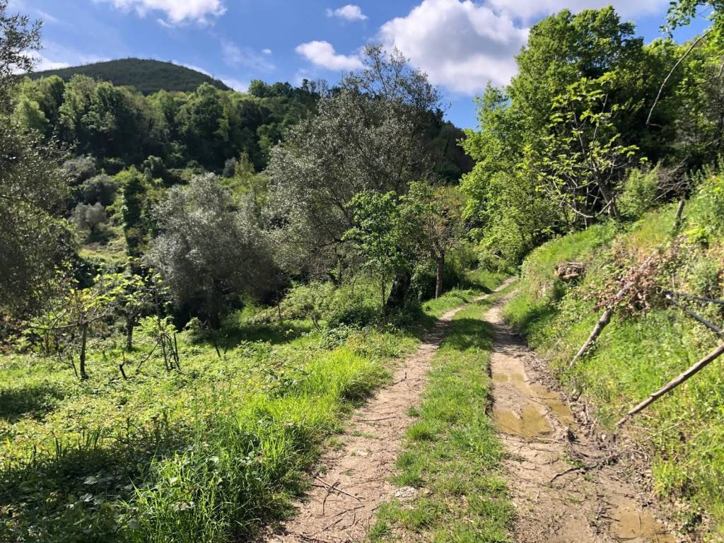 Terreno a Sessa cilento in Via Vittoria - Foto 5