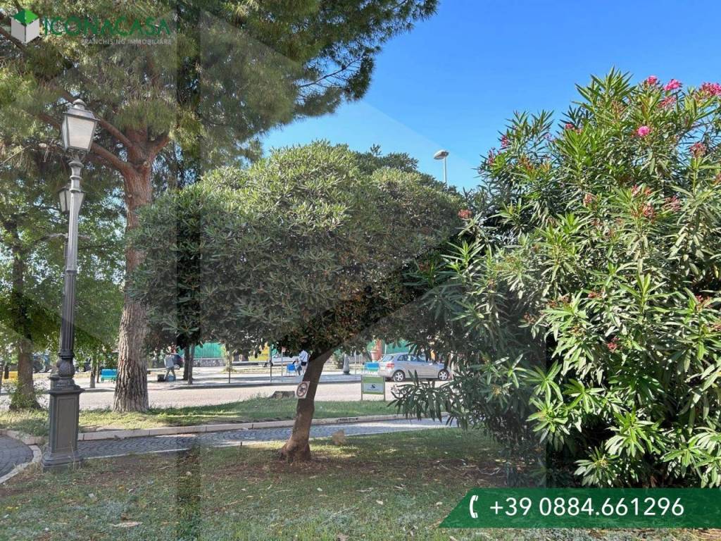 Immobile a Manfredonia in Piazza Guglielmo Marconi, 13 - Foto 3