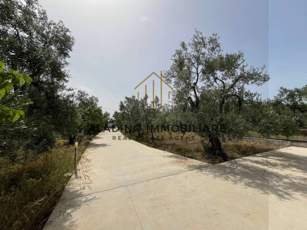 Terreno a Trani - Foto 3