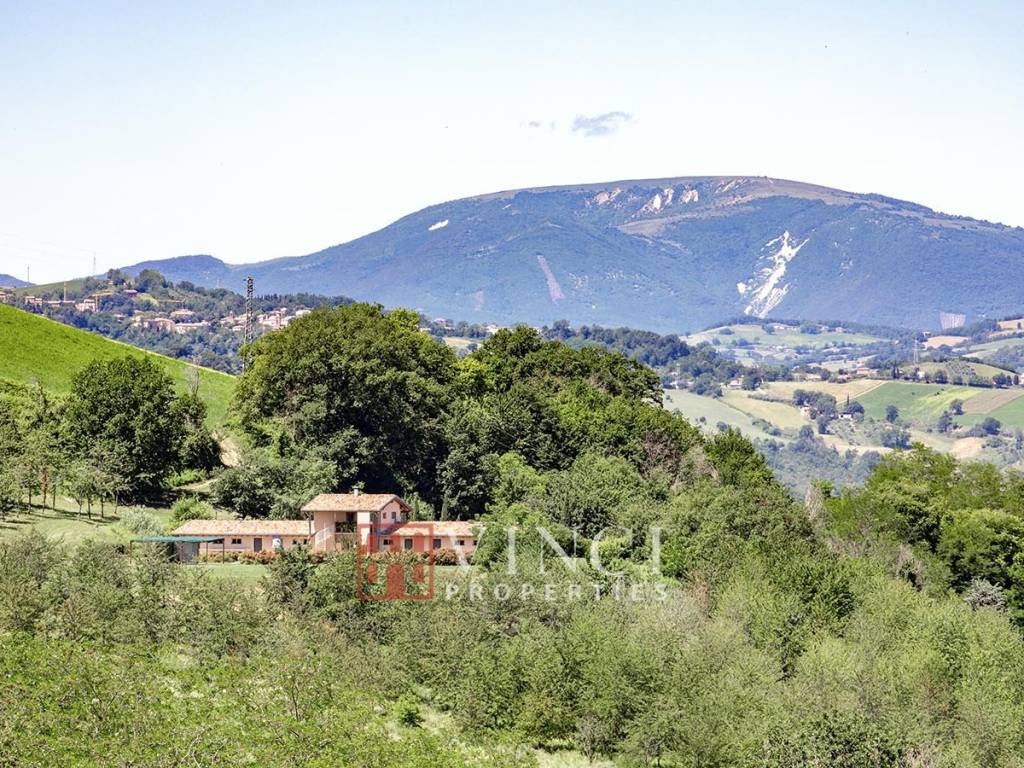 Rustico / casale a Falerone - Foto 4