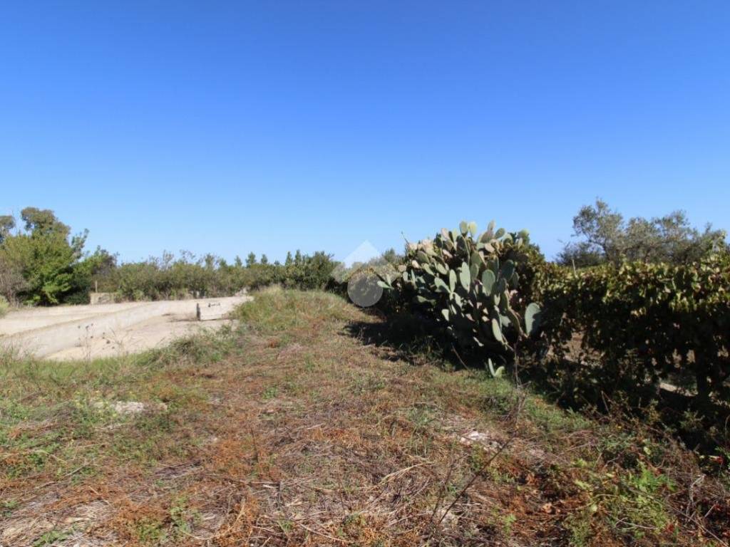 Terreno a Isola di capo rizzuto in Località Ventarola - Foto 4