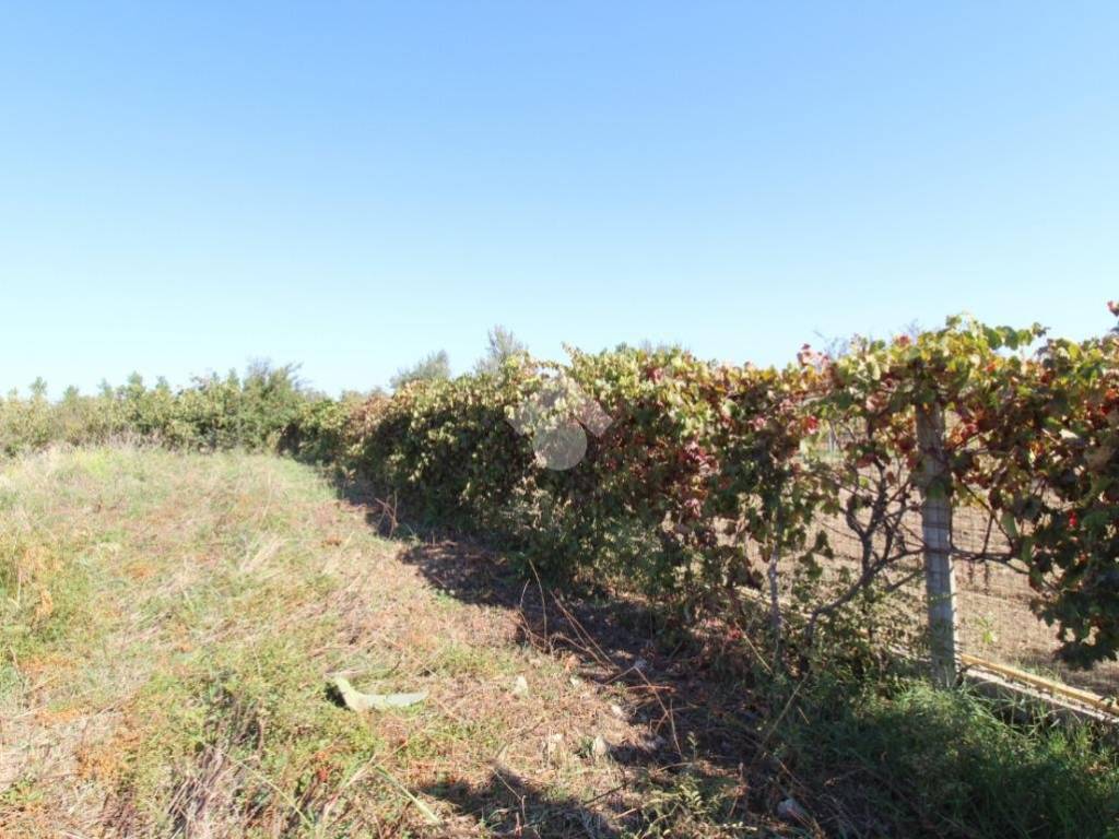 Terreno a Isola di capo rizzuto in Località Ventarola - Foto 5