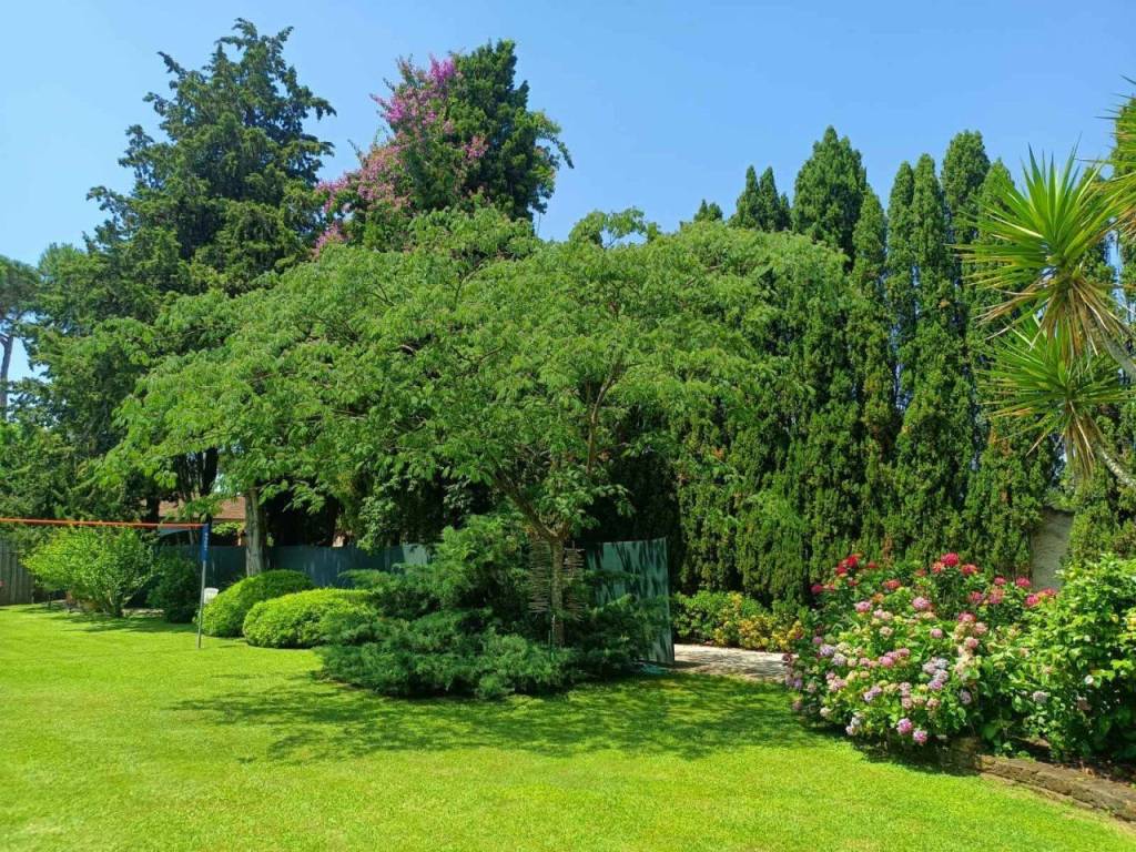 Villa a Massarosa - Foto 5