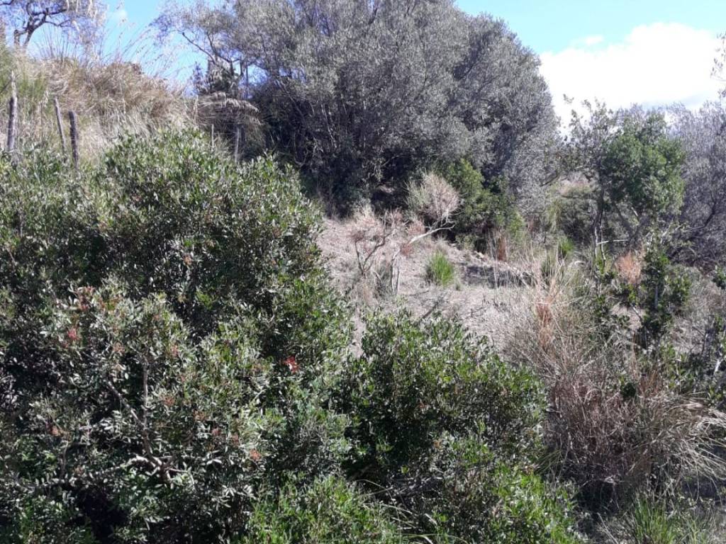 Terreno a Castellabate in Strada Provinciale Adolfo Cilento - Foto 2