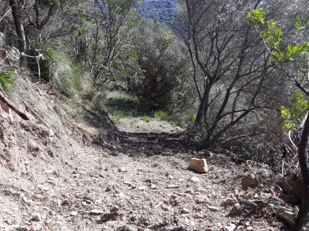 Terreno a Castellabate in Strada Provinciale Adolfo Cilento - Foto 5