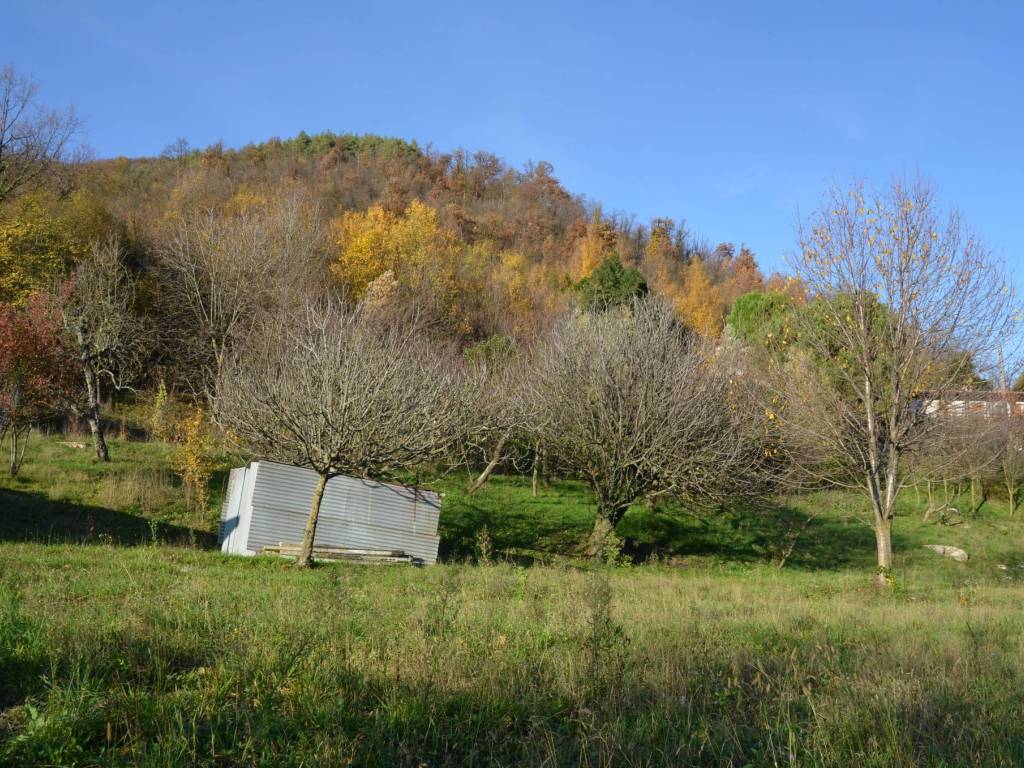 Terreno a Luzzana - Foto 5