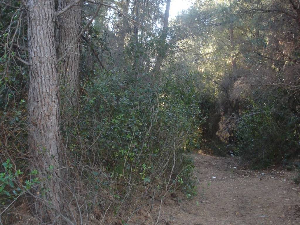 Terreno a Andora in Strada Comunale Conna - Foto 2