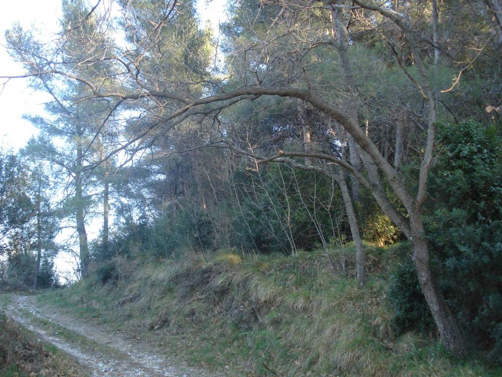 Terreno a Andora in Strada Comunale Conna - Foto 3