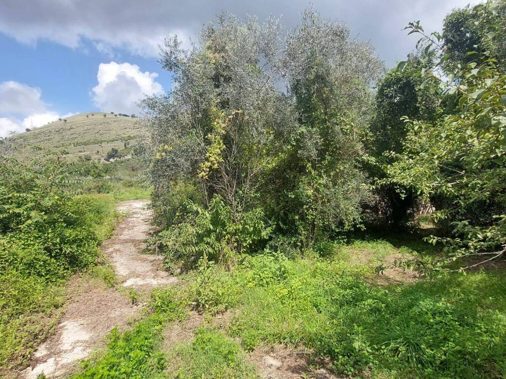 Terreno a Castel san giorgio - Foto 5