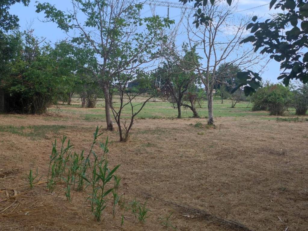 Terreno a Santi cosma e damiano in Via Porto Galeo - Foto 2