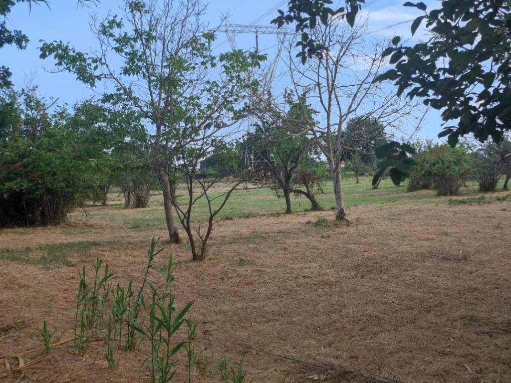 Terreno a Santi cosma e damiano in Via Porto Galeo - Foto 3