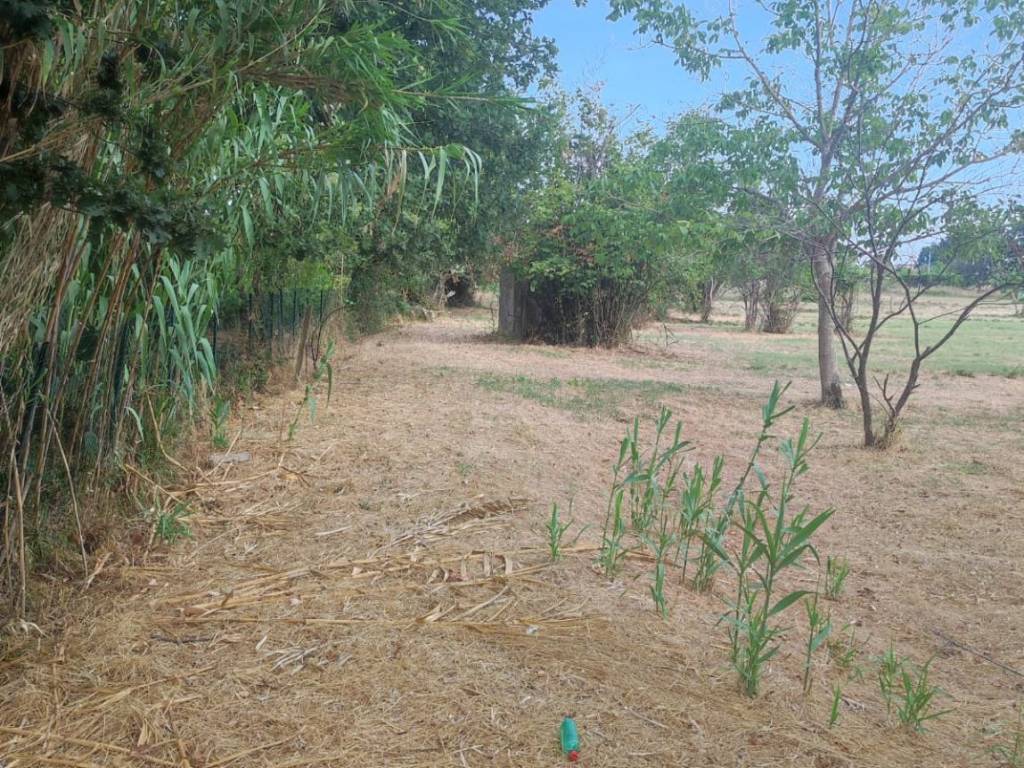 Terreno a Santi cosma e damiano in Via Porto Galeo - Foto 5