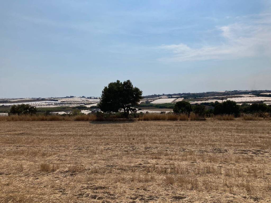 Terreno a Pachino in contrada saiazza - Foto 2