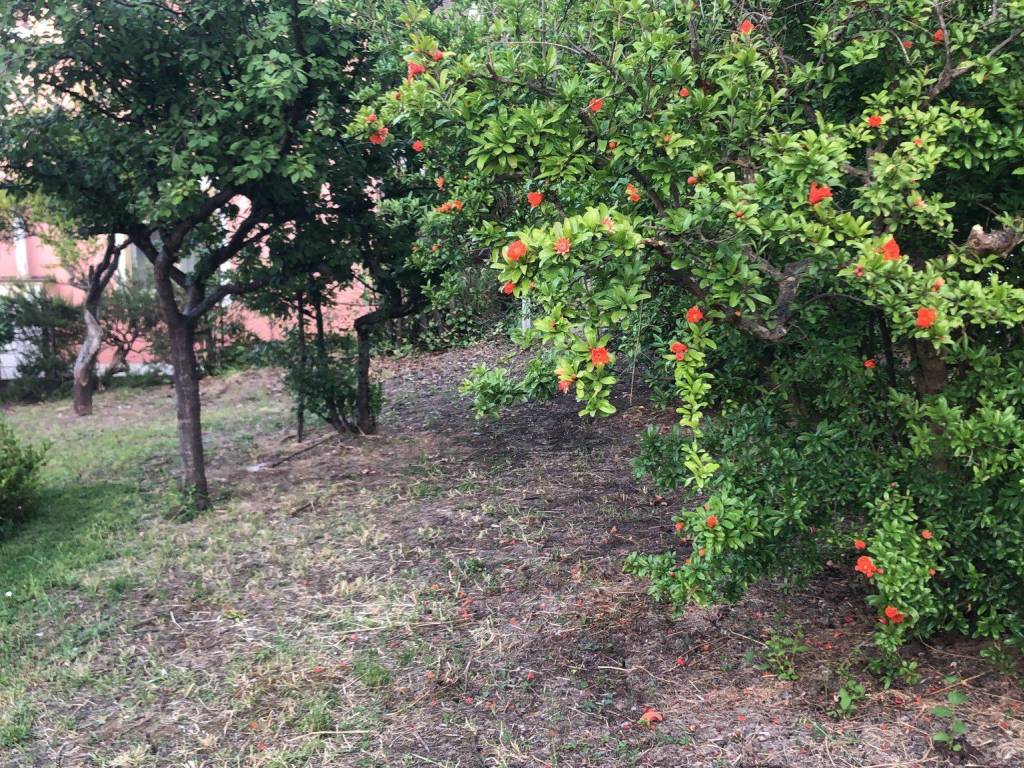 Appartamento a Agropoli in Via San Francesco - Foto 4