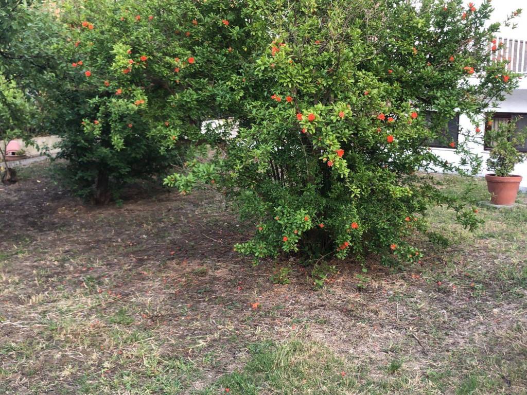 Appartamento a Agropoli in Via San Francesco - Foto 5