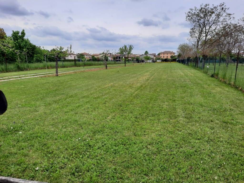 Terreno a Vedelago in Piazza Generale Caviglia - Foto 2