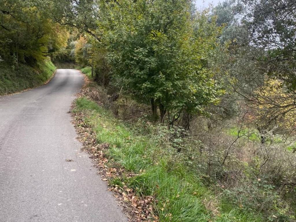 Terreno a Rutino in Via del Campo Sportivo - Foto 2