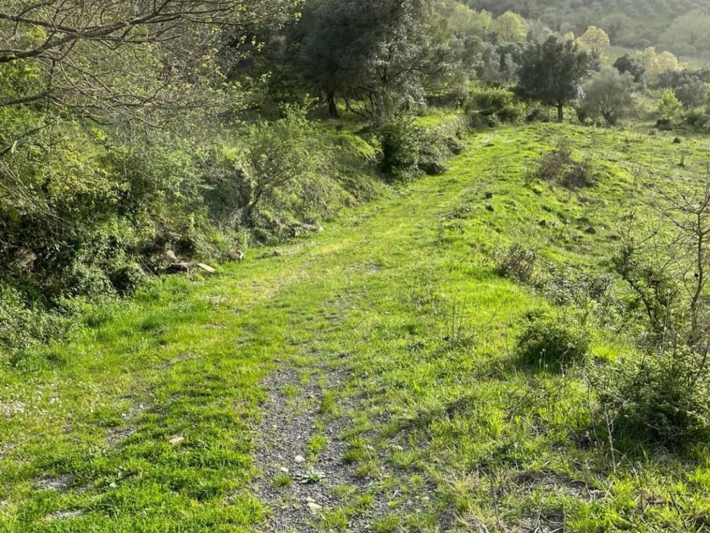 Terreno a Rutino in Via del Campo Sportivo - Foto 3