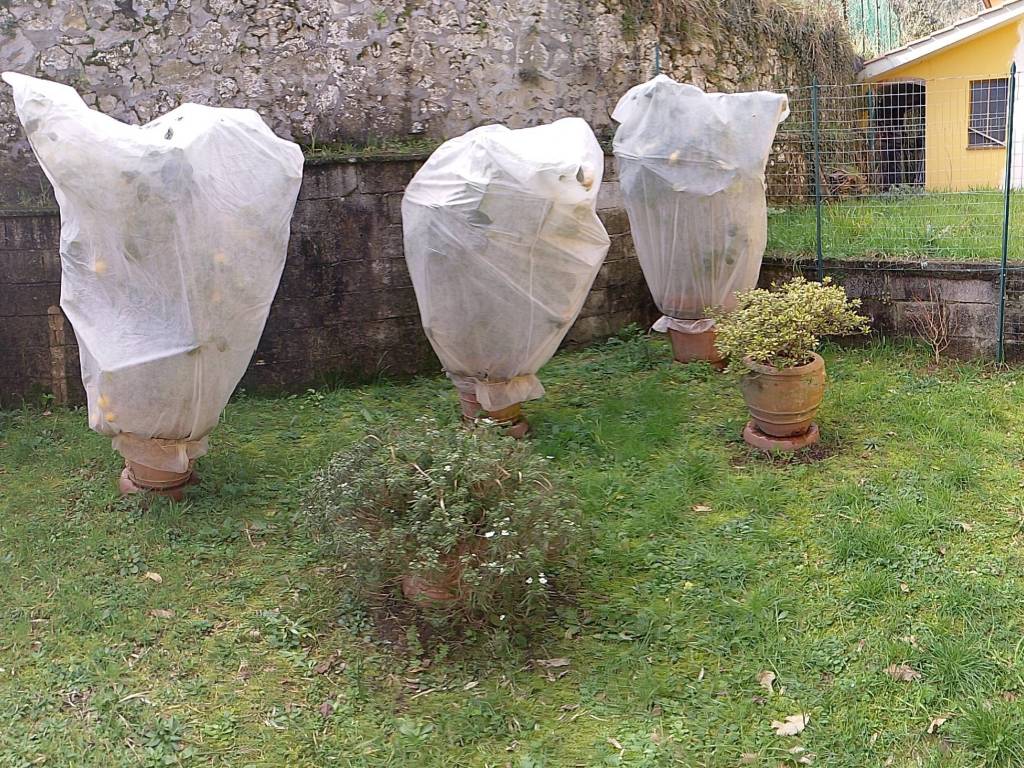 Villetta a schiera a Massa e cozzile in Strada Provinciale Mammianese Marlianese - Foto 4