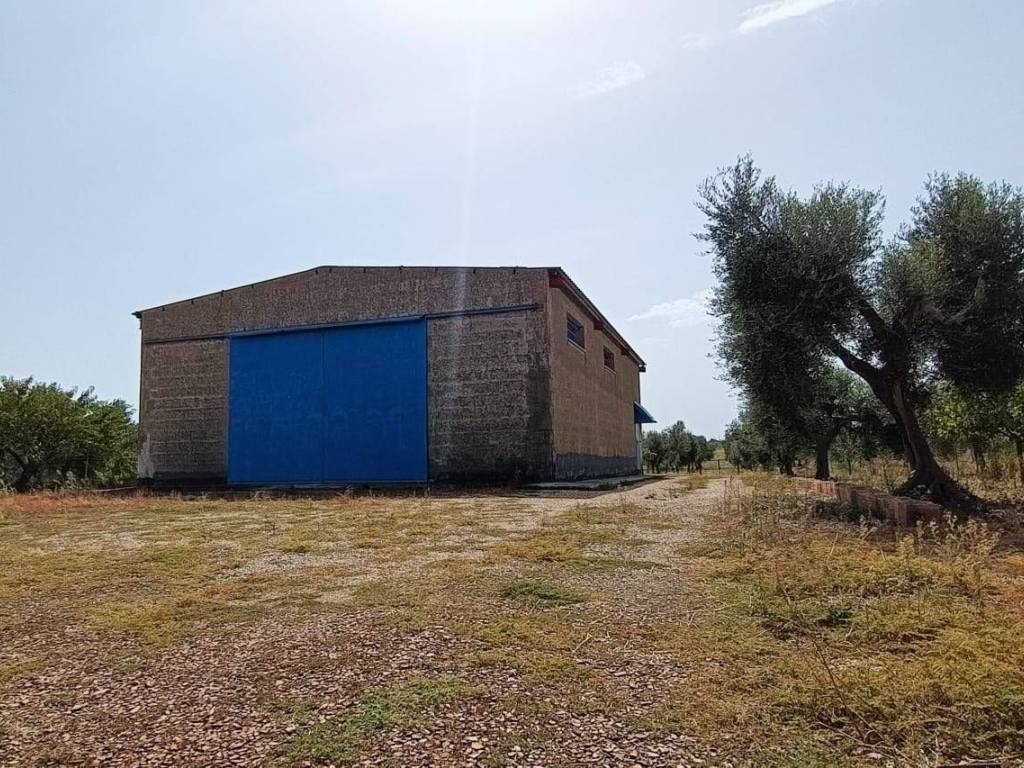 Immobile a Lucera in LOCALITA' SEGGIO - Foto 2