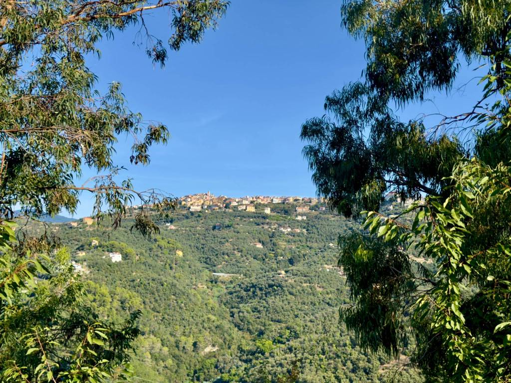 Terreno a Perinaldo in Località Moglie - Foto 2