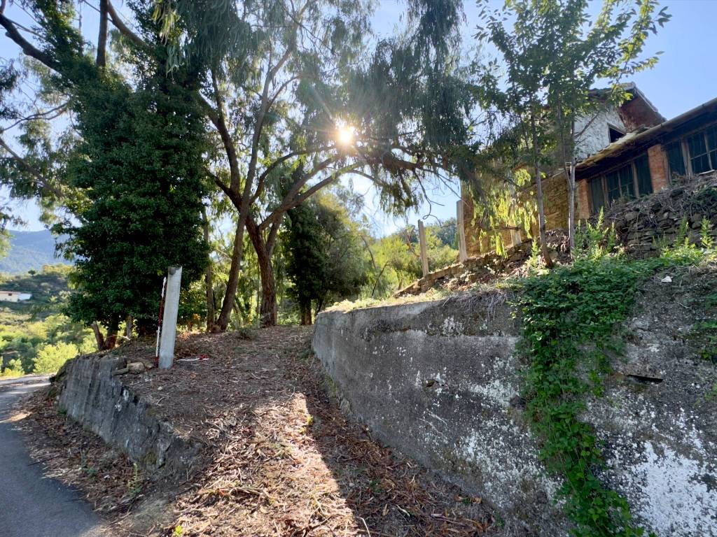 Terreno a Perinaldo in Località Moglie - Foto 3