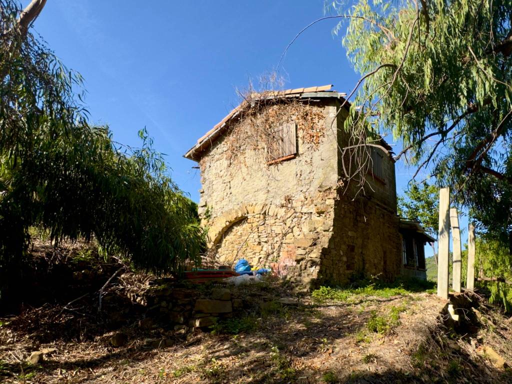 Terreno a Perinaldo in Località Moglie - Foto 4