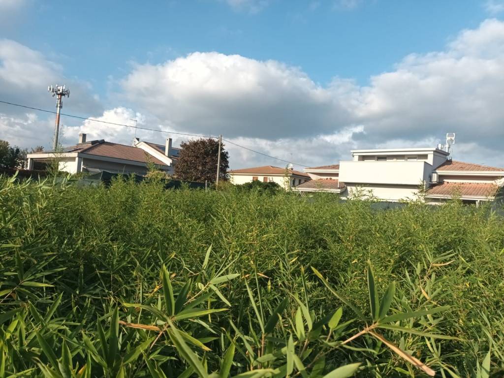 Terreno a Istrana in Via delle Alpi, 24 - Foto 5