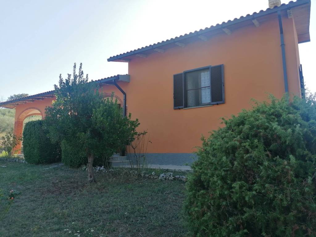 Rustico / casale a Manciano in SP112 - Foto 3