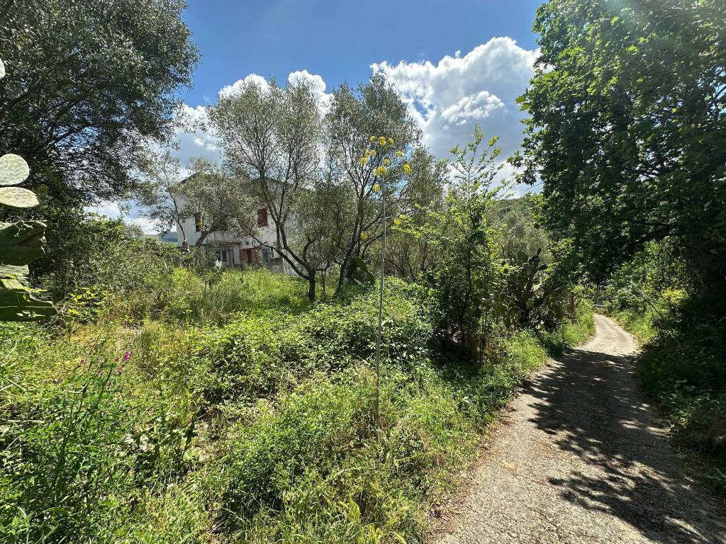 Terreno a Castel morrone in Castel Morrone Terreno Agricolo - Foto 3