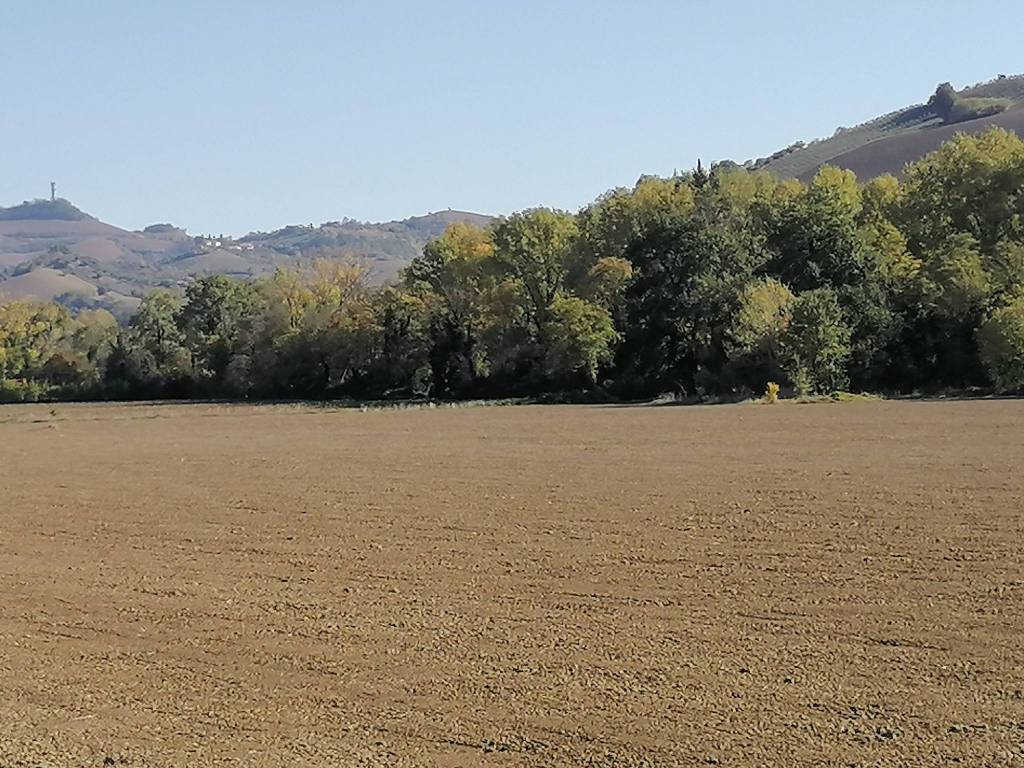 Terreno a Ripatransone in Contrada Ponte di Offida - Foto 2
