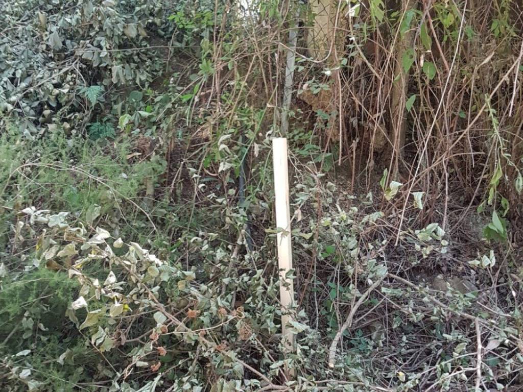 Terreno a Massarosa - Foto 2