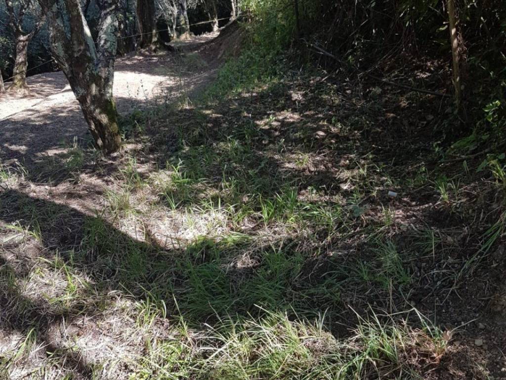 Terreno a Massarosa - Foto 3