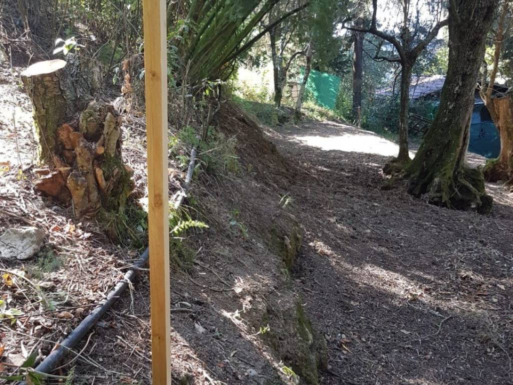 Terreno a Massarosa - Foto 4