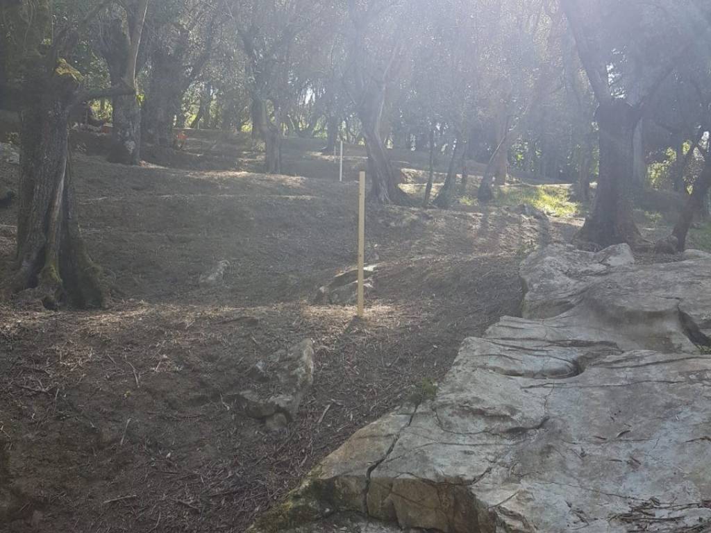 Terreno a Massarosa - Foto 5