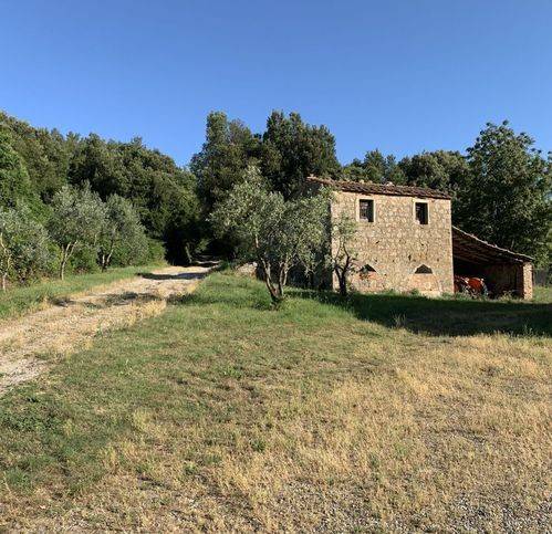 Rustico / casale a Roccastrada - Foto 3