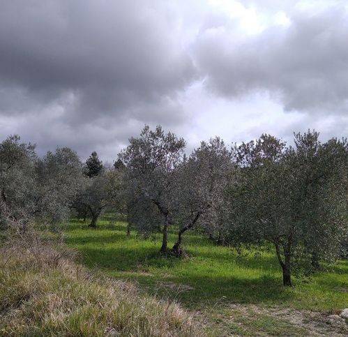 Rustico / casale a Roccastrada - Foto 4