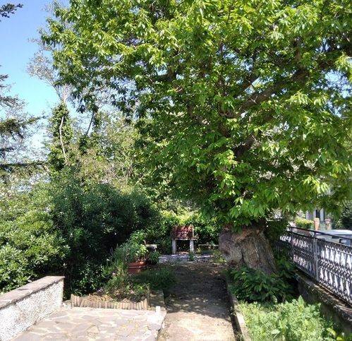 Villa a Roccastrada - Foto 3